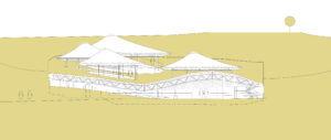 Elevation